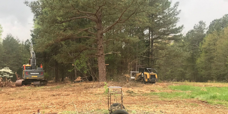 Land Clearing in Boiling Springs, South Carolina