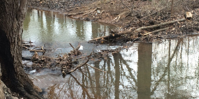 Ponds in Boiling Springs, South Carolina