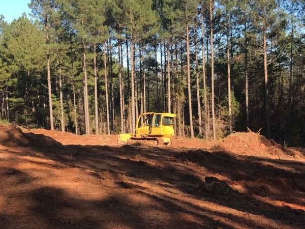 Excavation and Grading