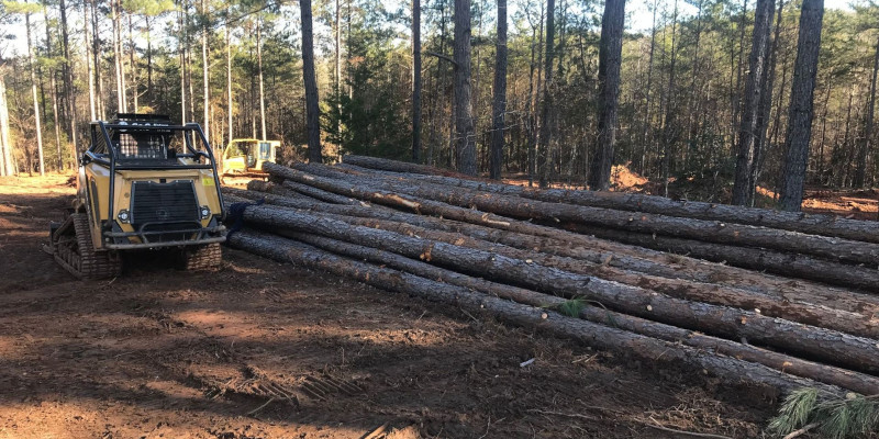 Debris & Remediation Land Clearing in Boiling Springs, South Carolina