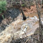 Storm Debris Removal