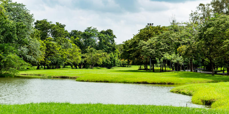 Pond Builder in Boiling Springs, South Carolina