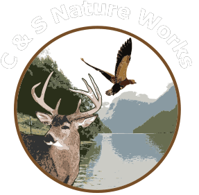 C & S Nature Works
